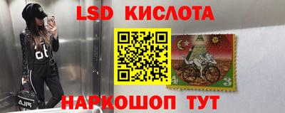 прущие грибы Берёзовский