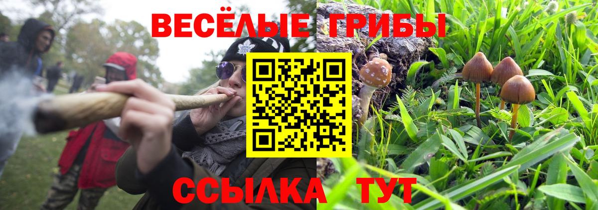 Галлюциногенные грибы ЛСД Йошкар-Ола